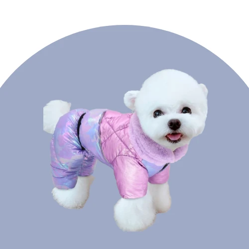 Dog Coats and Jackets