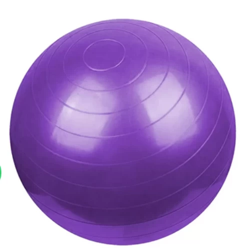 Large Yoga Exercise Fitness Gymnastic Plain Ball 65cm Anti Burst Stability Balan