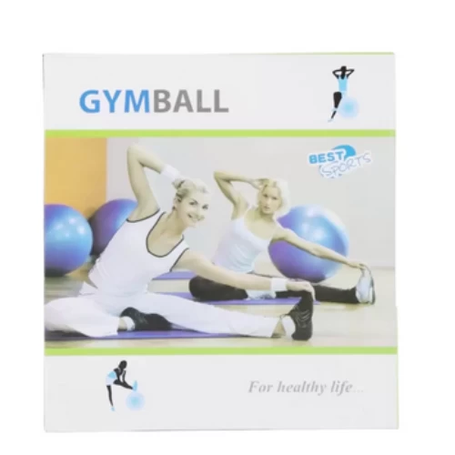 Large Yoga Exercise Fitness Gymnastic Plain Ball 65cm Anti Burst Stability Balan