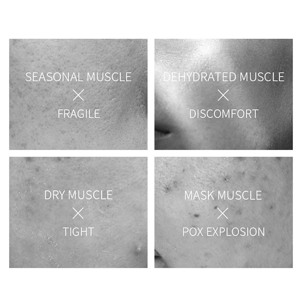 Glowing Skincare Anti-Pores Deeply Nourishing Centella Essence Facial Mask Sheet