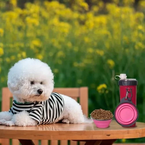 Set Of 2 Pieces Dog Cat Water Food Bowl And Storage Bottle, Portable Water Dispe