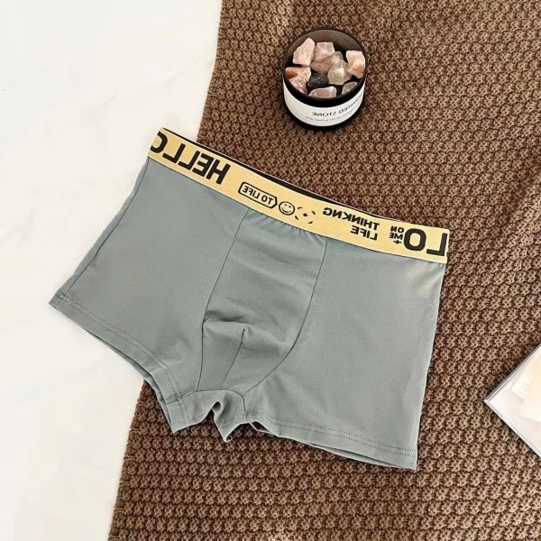 Green Letter Waistband Boxer Briefs - Anti-Bacterial Underwear (Men's)