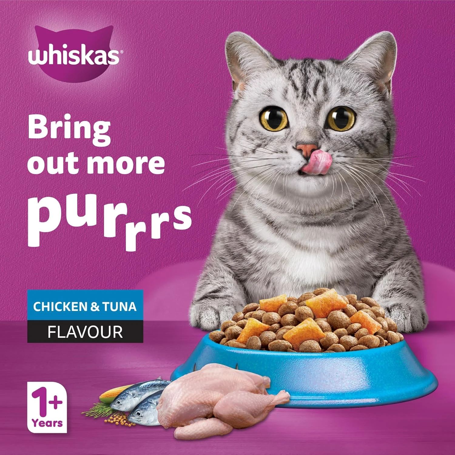 Whiskas Chicken and Tuna Hairball Control Dry Cat Food  Bag of 1.1Kg  Cat Dry Fo