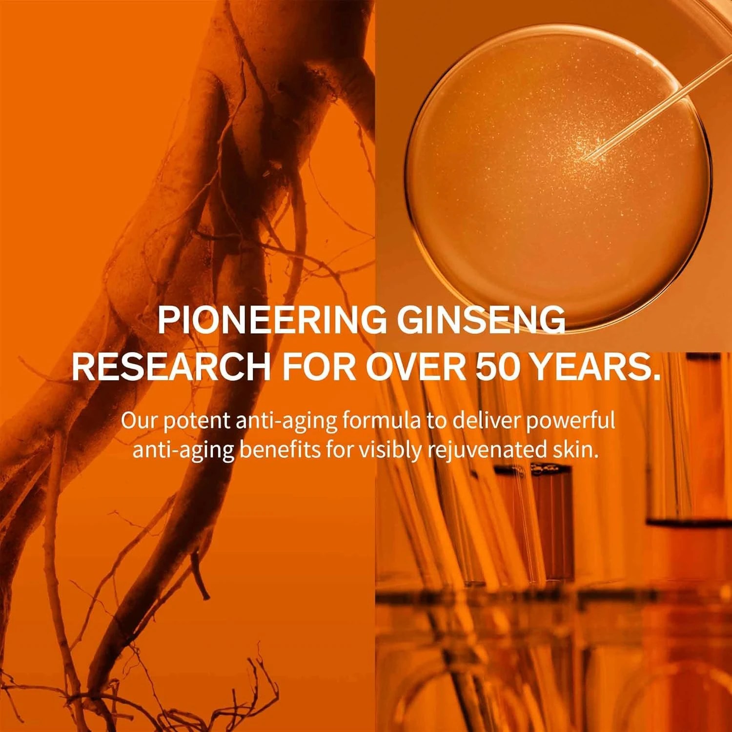 Sulwhasoo Concentrated Ginseng Renewing Cream - Korean Anti-Aging Skincare, Impr