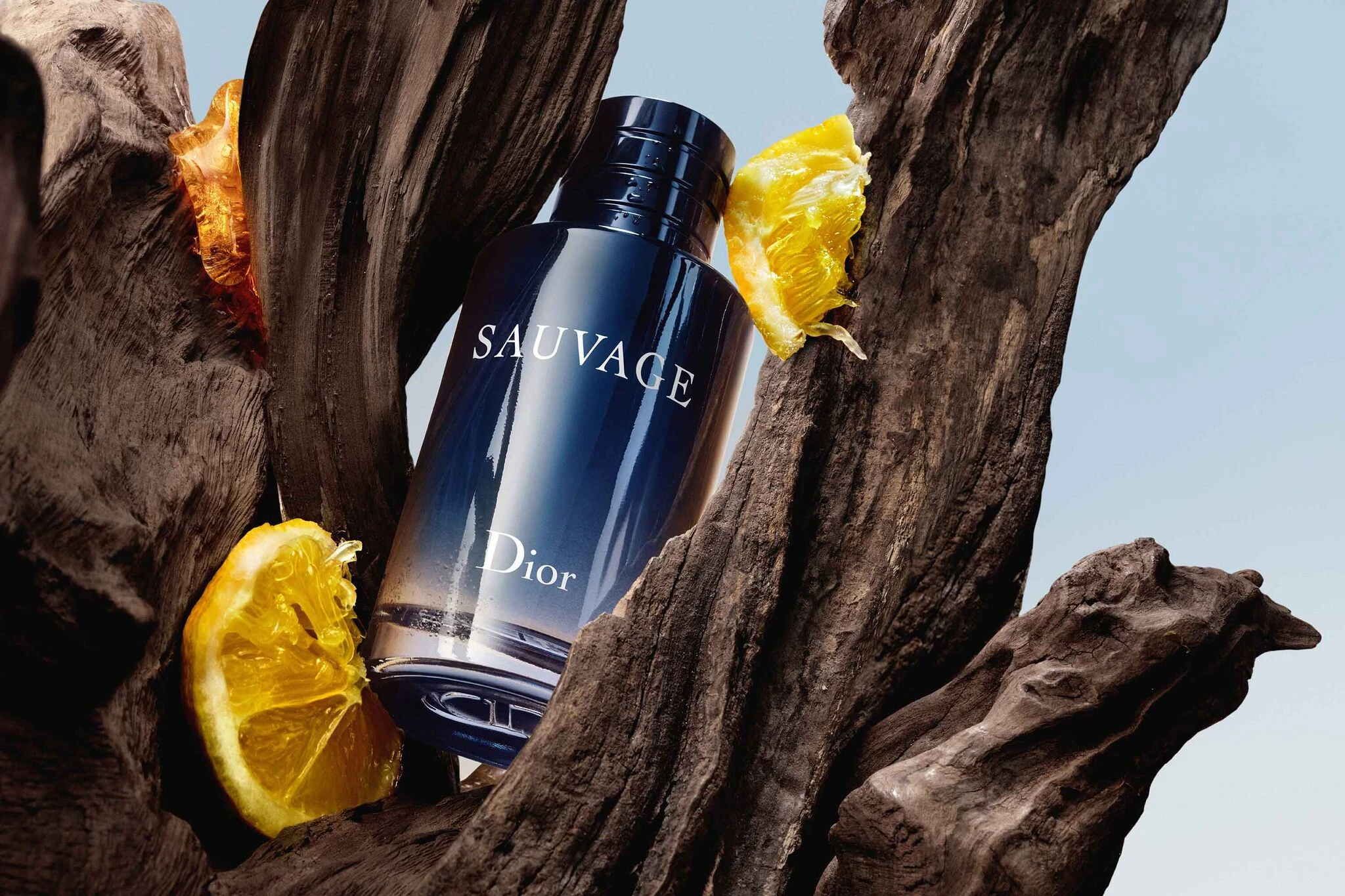 Christian Dior Dior Perfume - Sauvage by Dior - perfume for men - Eau de Toilett