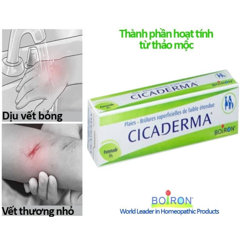 Boiron Cica Derma Pommade Skin Moisturizer