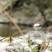 Estée Lauder PLEASURES FOR MEN cologne vapo 100 ml