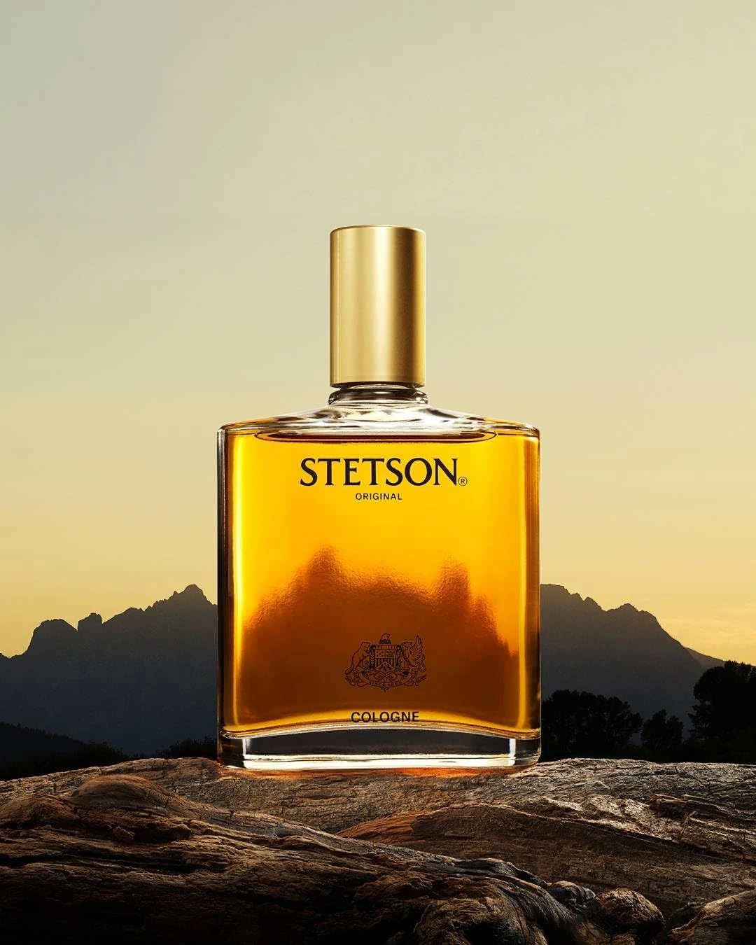 Stetson Original Cologne Spray, Oriental, 44ml