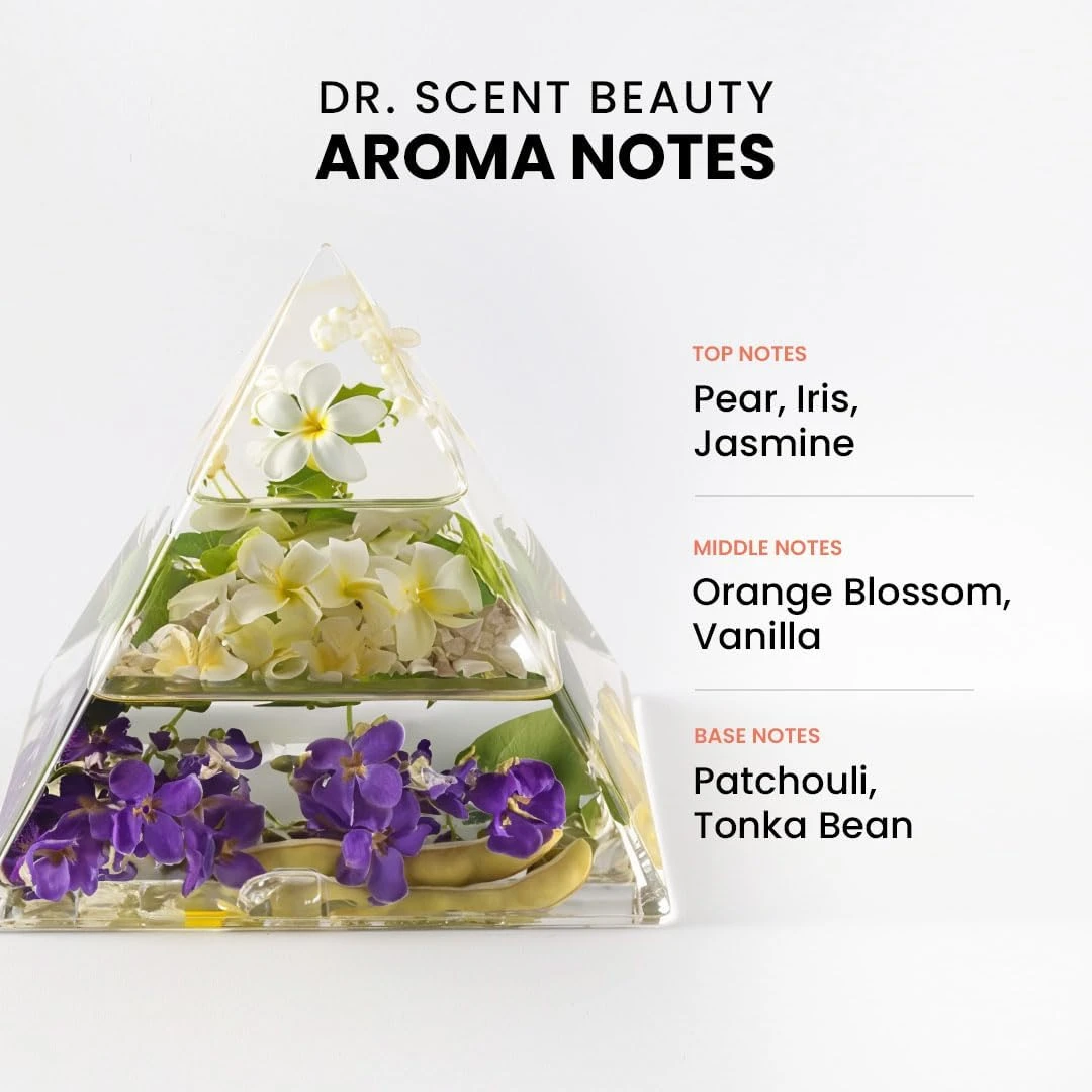 Dr Scent Breeze of Joy Beauty Air Freshener Aerosol Spray - 300ml, Best for Room