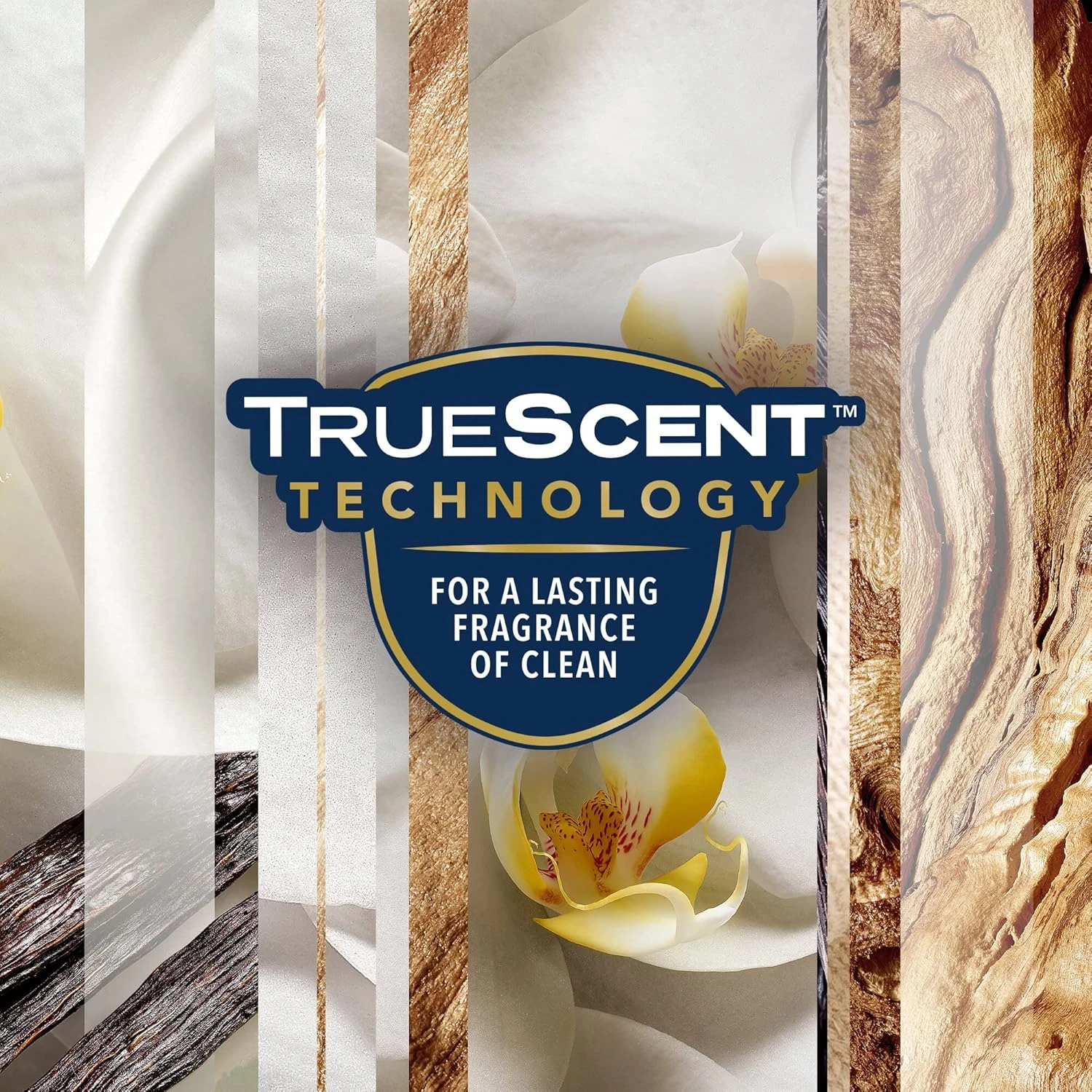 Glade Aerosol Sheer Vanilla Embrace Air Freshener, Refresh Every Room In Your Ho