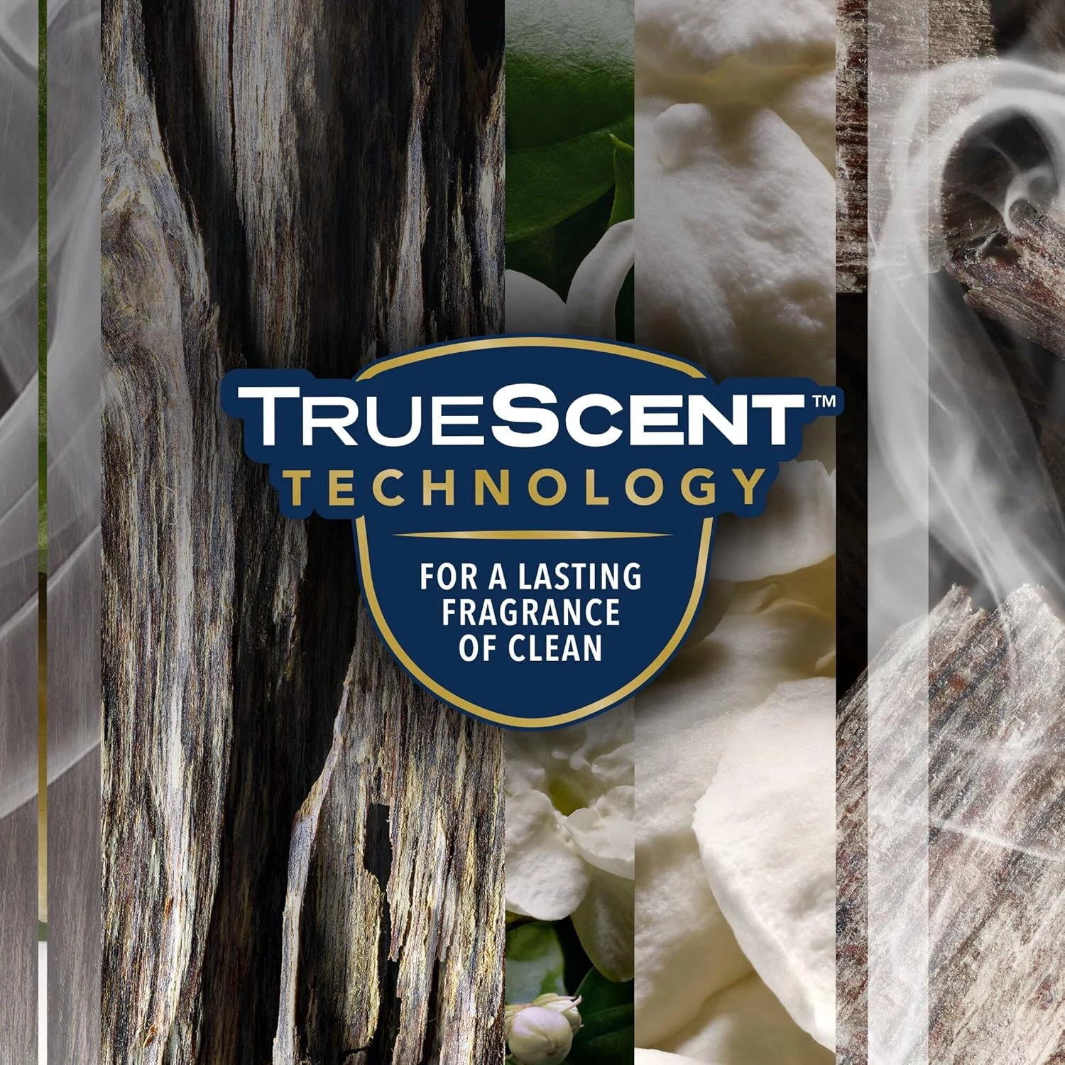 Glade Aerosol Elegant Amber & Oud Air Freshener, Refresh Every Room In Your Home