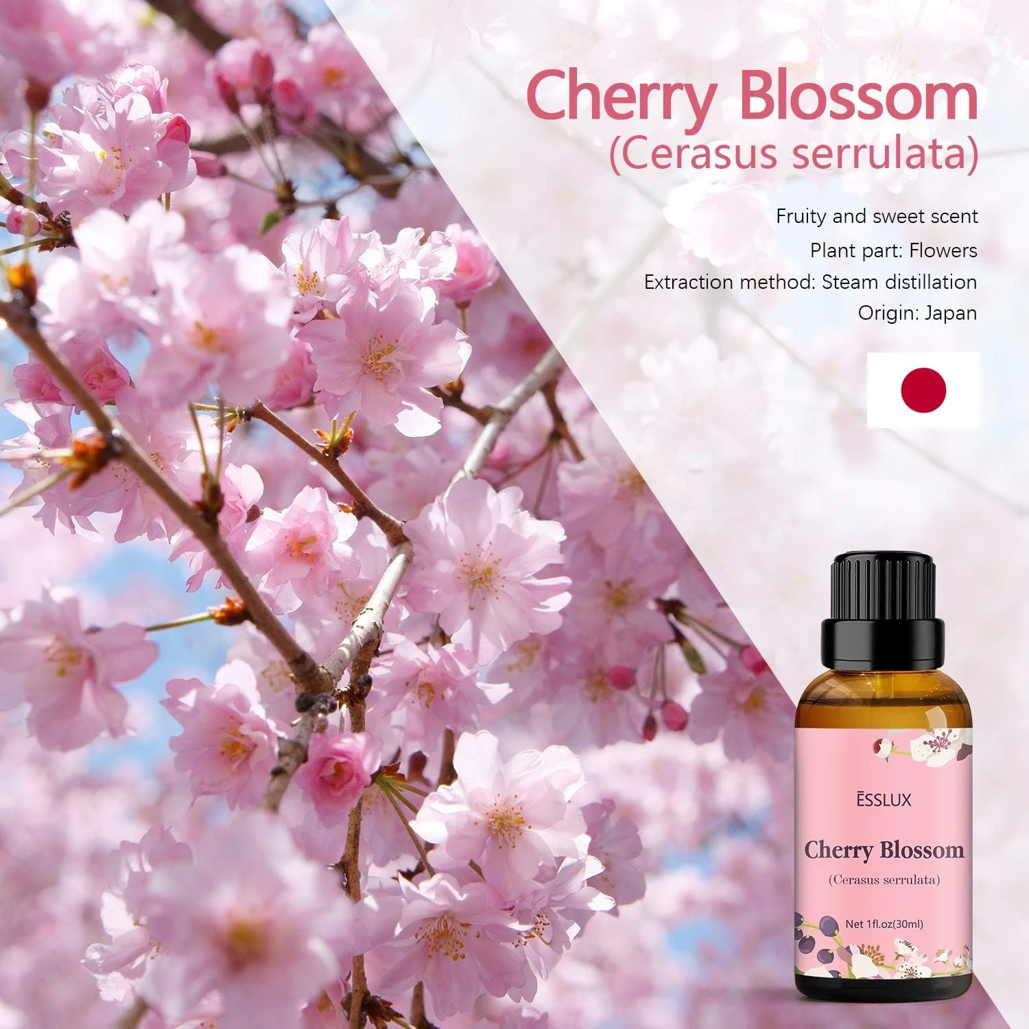ESSLUX Cherry Blossom Essential Oil, ESSLUX Aromatherapy Oils for Diffuser, Mass