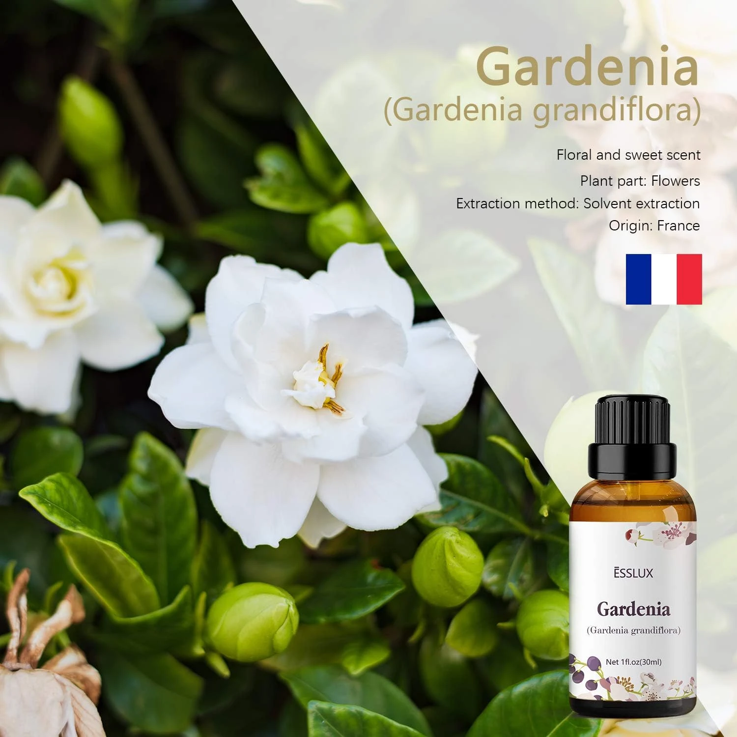 ESSLUX Gardenia Essential Oil, ESSLUX Aromatherapy Essential Oils for Diffuser, 