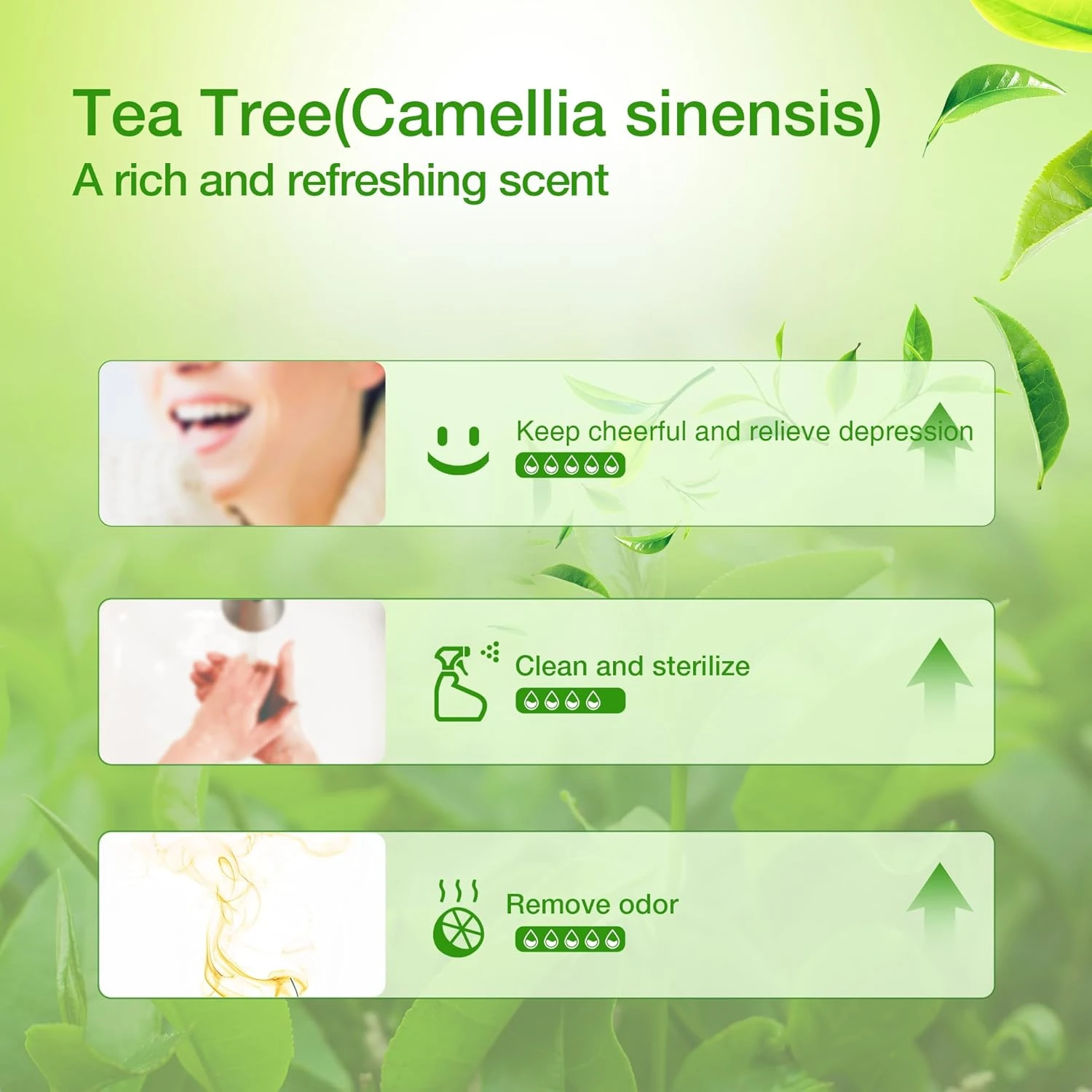 ASAKUKI Tea Tree Essential Oils 30ml, 100% Natural Therapeutic Grade, Aromathera