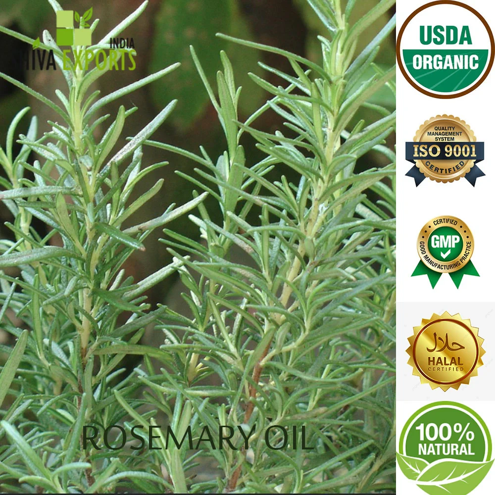 NOW Solutions Rosemary Essential Oil, 30 ML