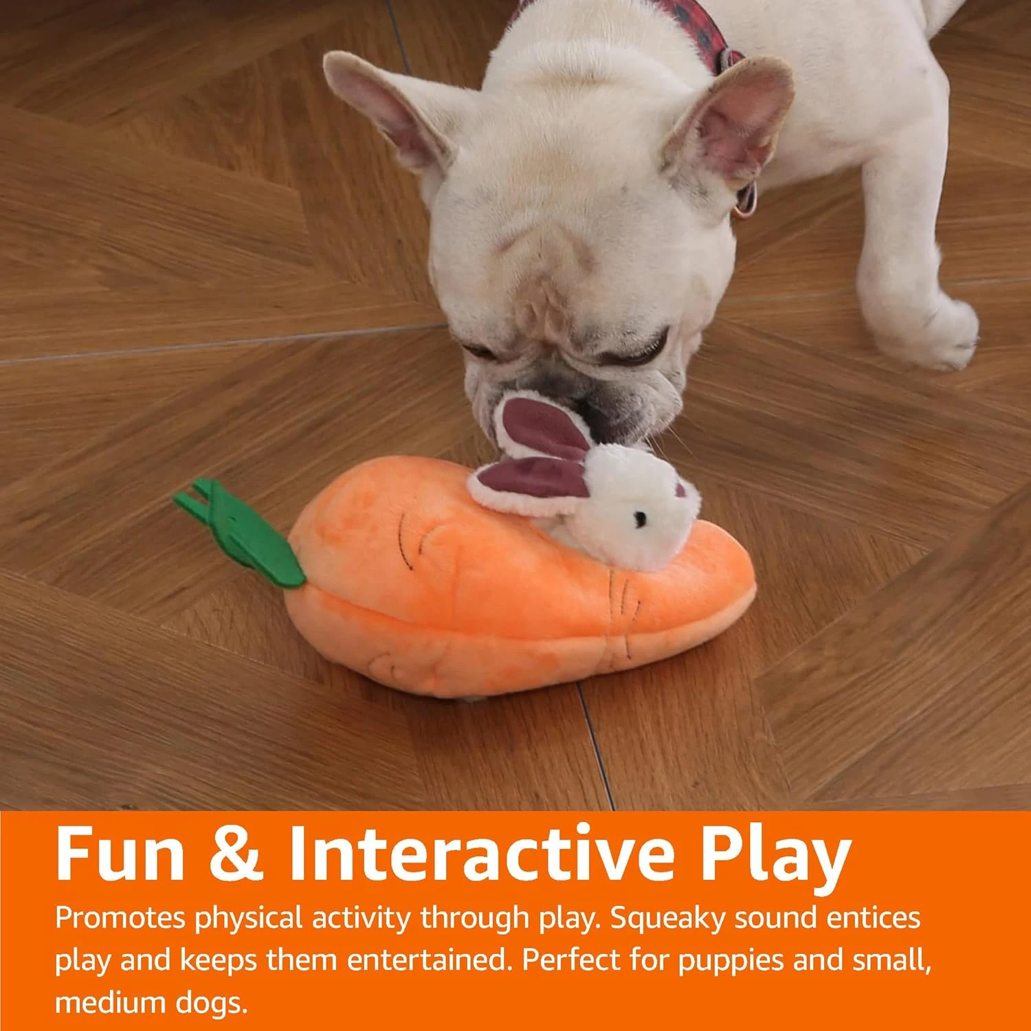 Basics Rabbit and Carrot Puppy/Dog Toys for Hide and Seek with Soft Plush, 5 Cou