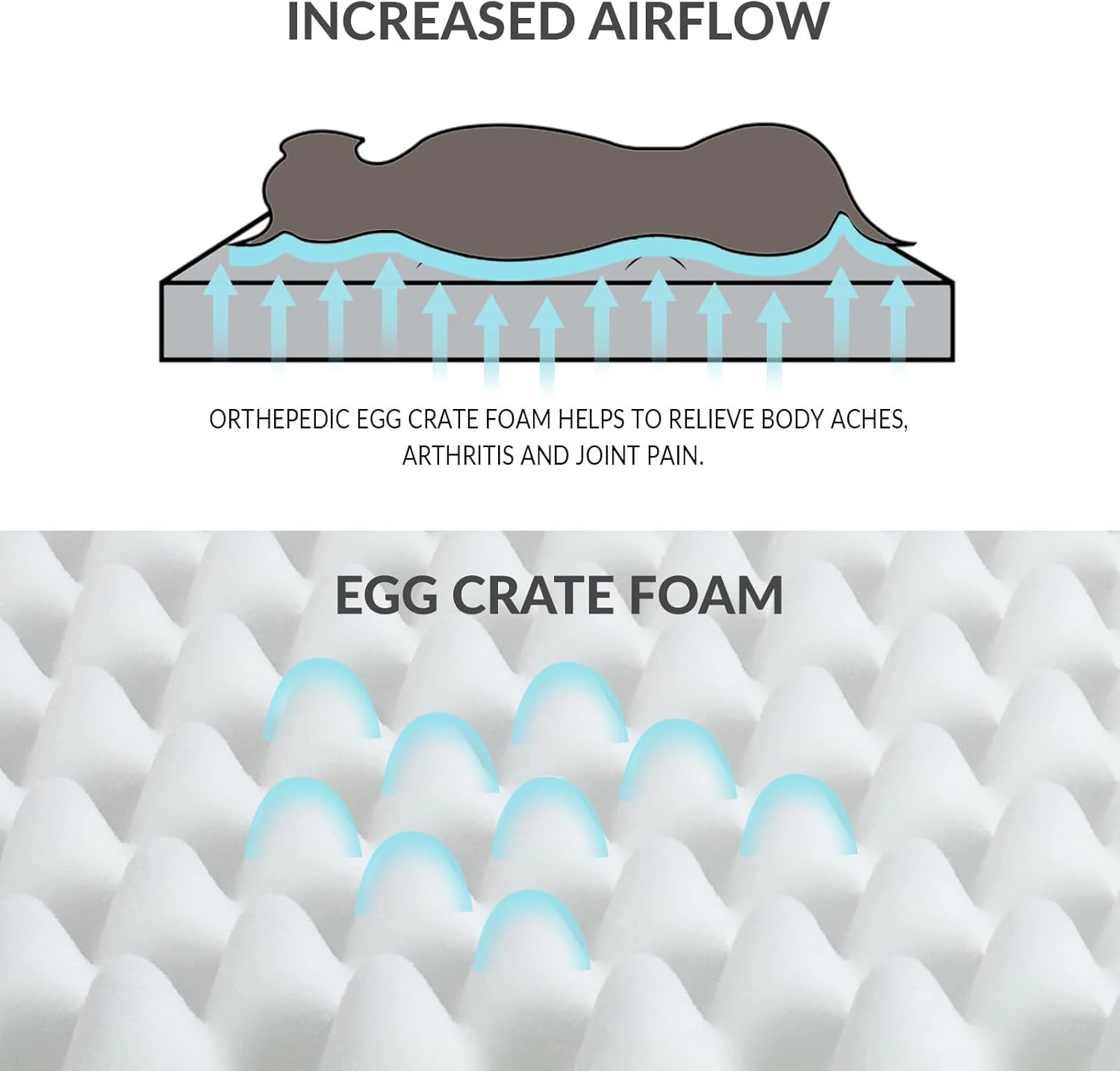 Patas Lague Orthopedic XL Dog Bed for Large Dogs 42''X28'', Soft Comfortable Wat