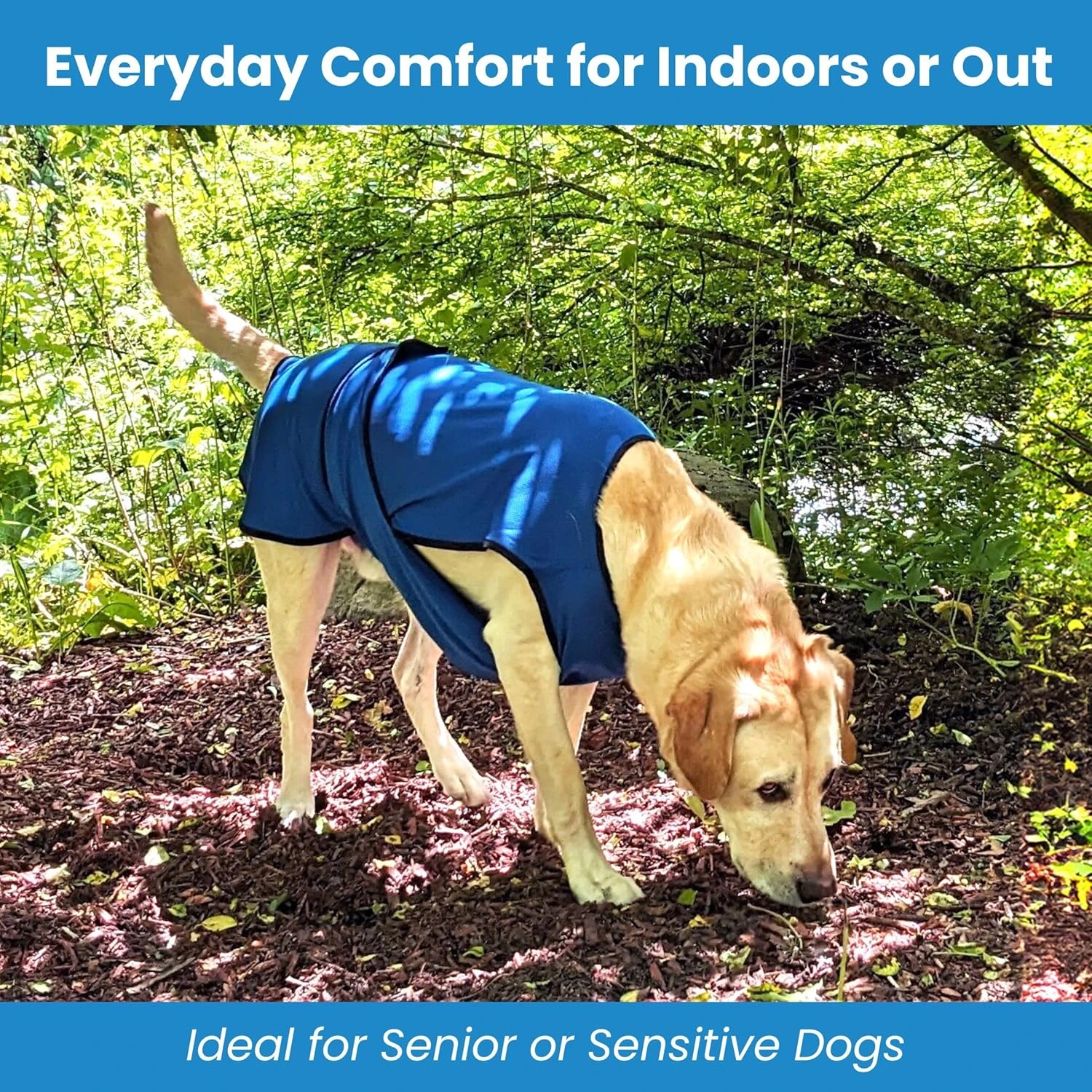 DOGZSTUFF Dog Cooling Vest. Lightweight Jacket with Evaporative Cool Microfiber 