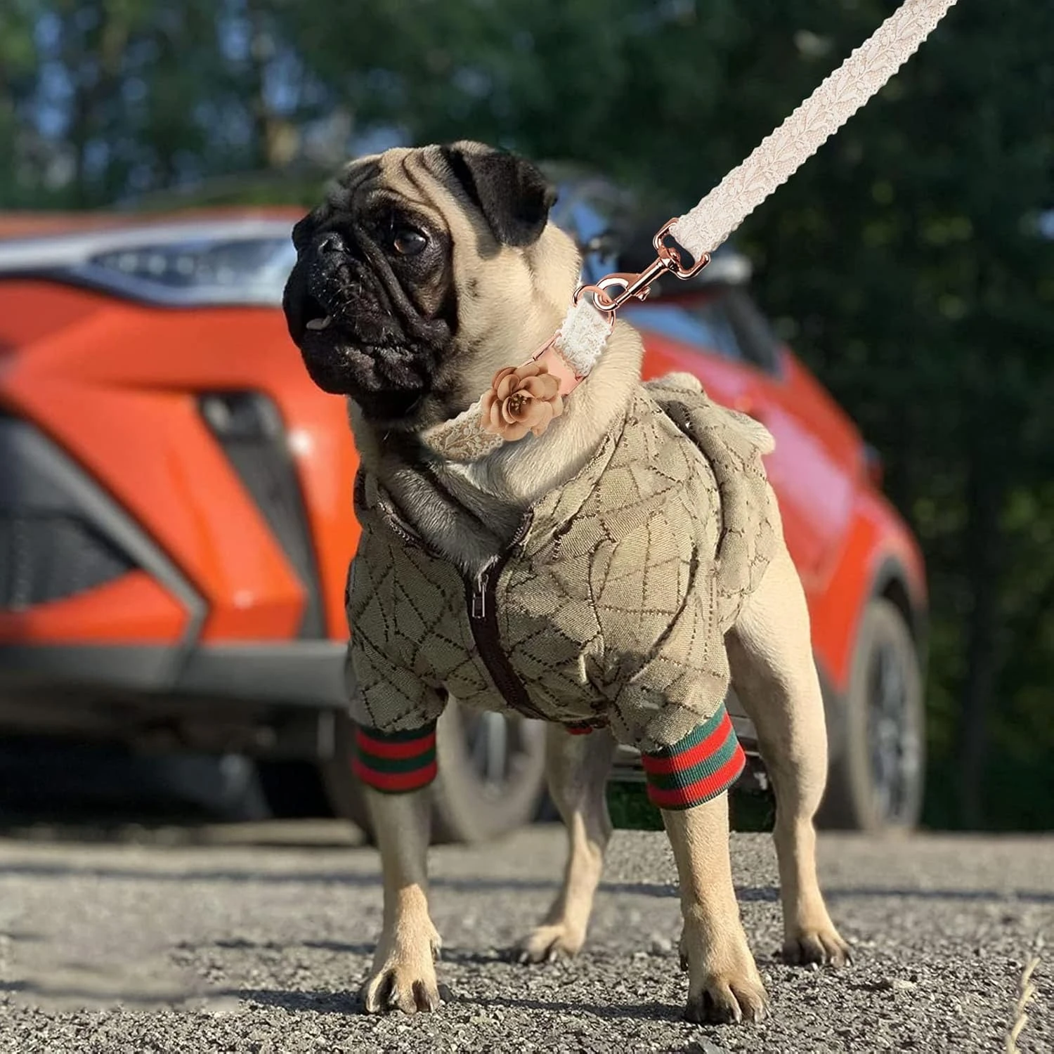 HXKJ Dog Hoodie Luxury Dog Clothes Winter Dog Jacket Classic Designer Pet Clothe