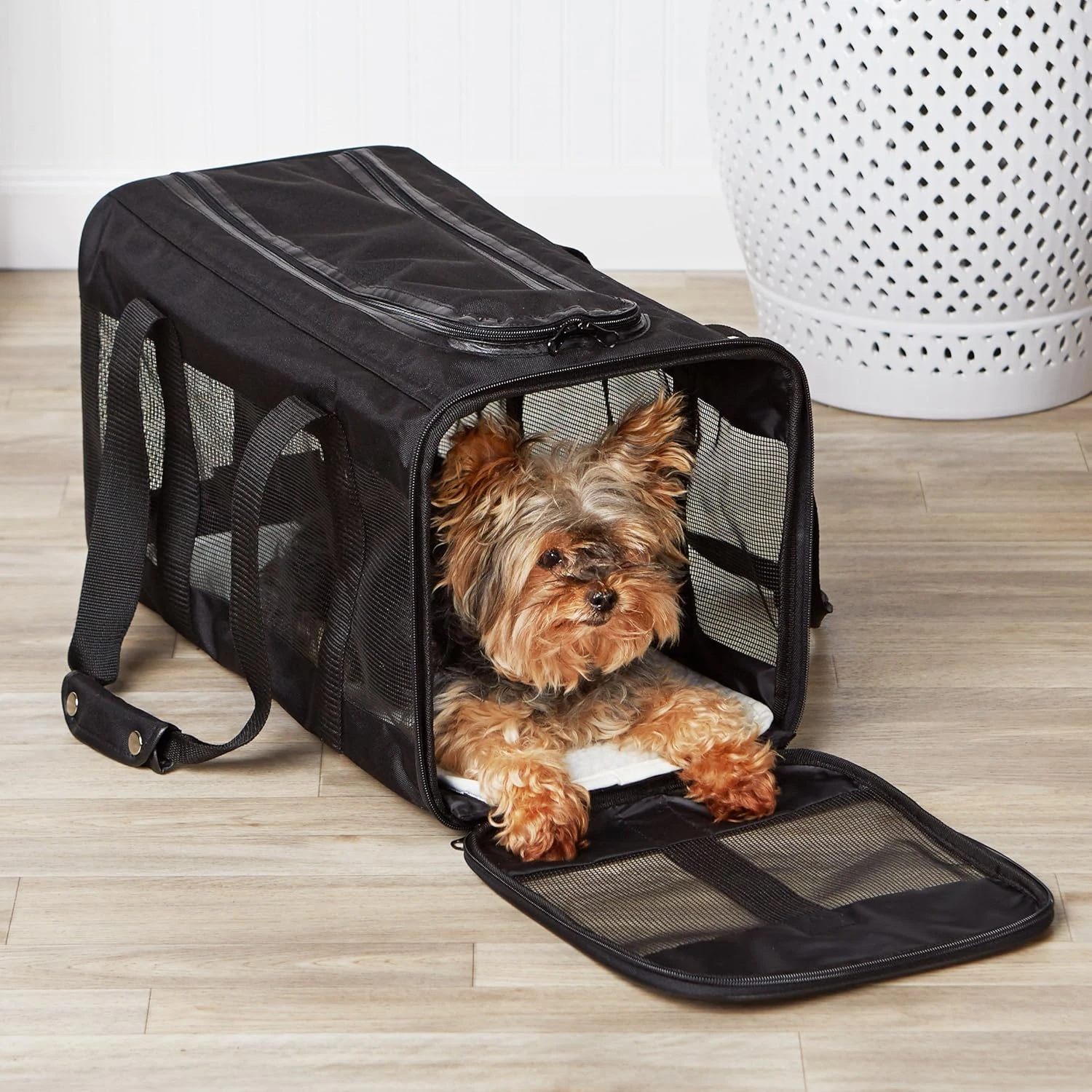 Basics Soft-Sided Mesh Pet Travel Carrier, Large, Black