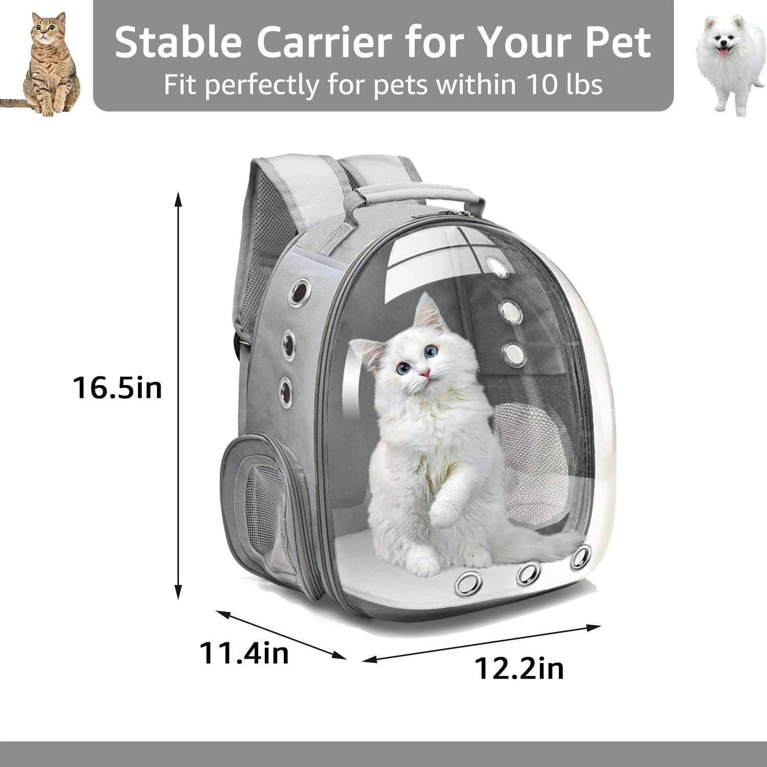 Henkelion Cat Backpack Carrier Bubble Carrying Bag, Small Dog Backpack Carrier f