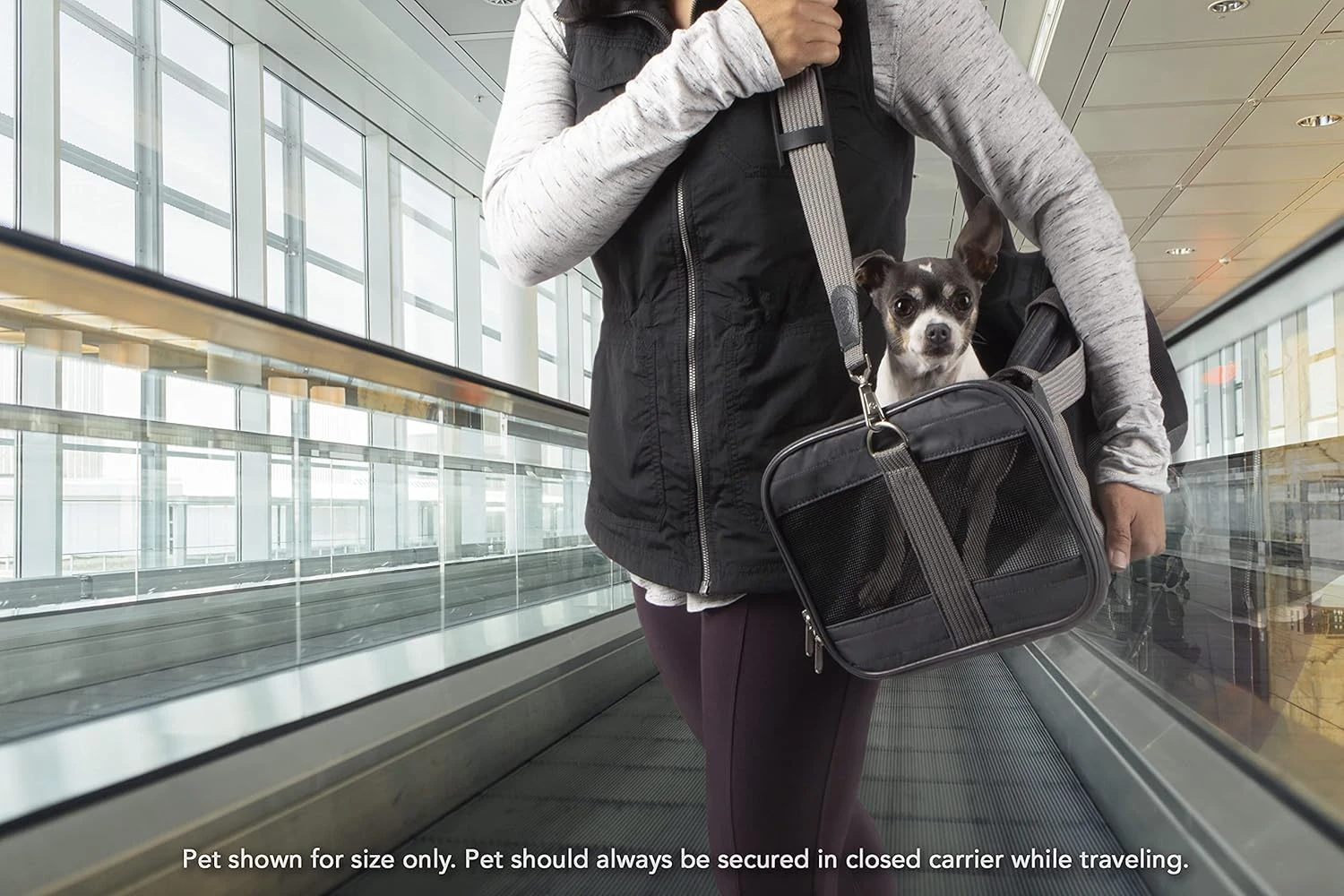 Sherpa Original Deluxe Travel Pet Carrier, Airline Approved & Guaranteed On Boar