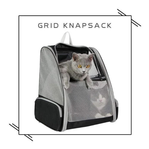 Texsens Innovative Traveler Bubble Backpack Pet Carriers for Cats and Dogs (Grey