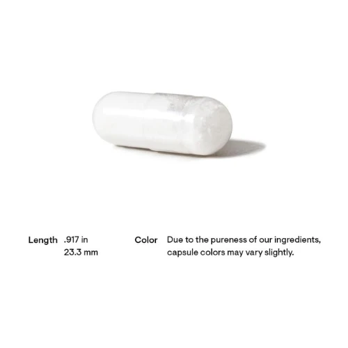 THORNE Acetyl-L-Carnitine - 500 mg - Supports Brain Function and Healthy Nerve S