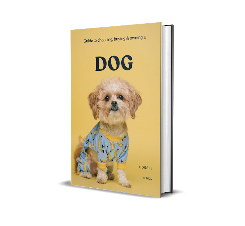Dog Guide to choosing  buying & owning a dog