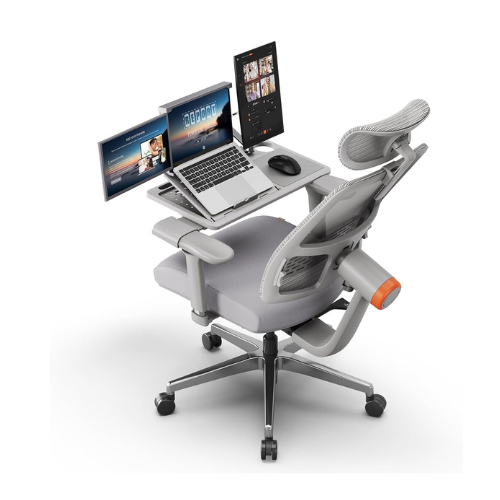 DROGO Ergonomic Office Chair for Work from Home, High Back Computer Chair with A