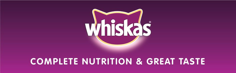 Whiskas Grilled Salmon Dry Food, for Adult Cats 1+ Years, Helps Your Cat Sustain banner 1