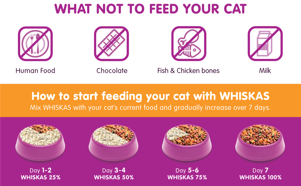 Whiskas Grilled Salmon Dry Food, for Adult Cats 1+ Years, Helps Your Cat Sustain banner 3