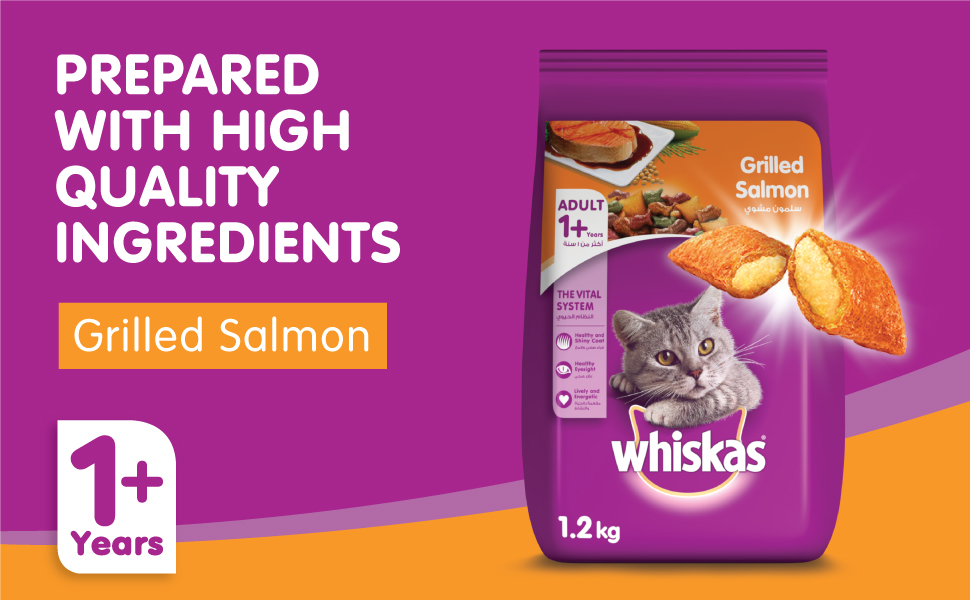 Whiskas Grilled Salmon Dry Food, for Adult Cats 1+ Years, Helps Your Cat Sustain banner 2