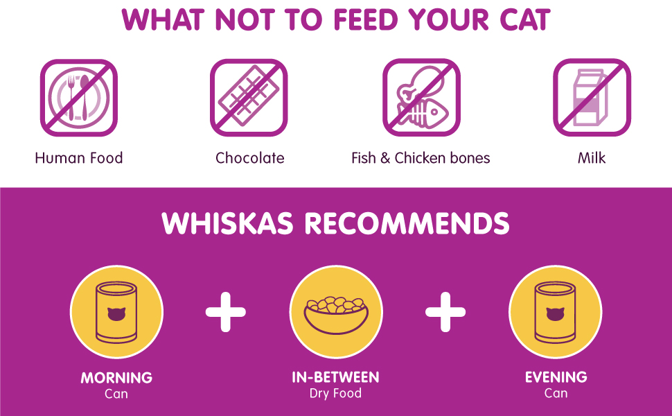 Whiskas Beef in Gravy Can, Wet Cat Food, for 1+ Years Adult Cats, Ingredients En banner 3
