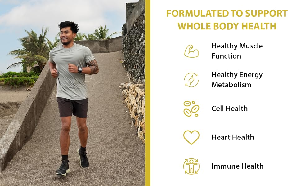 Natrolina Multivitamin for Men 150 Tablets | Support Immune System, Muscle, Bone banner 2