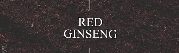 [I'M FROM] Ginseng Serum, 30ml, elasticity, anti-wrinkle, 7.98% ginseng extract banner 1