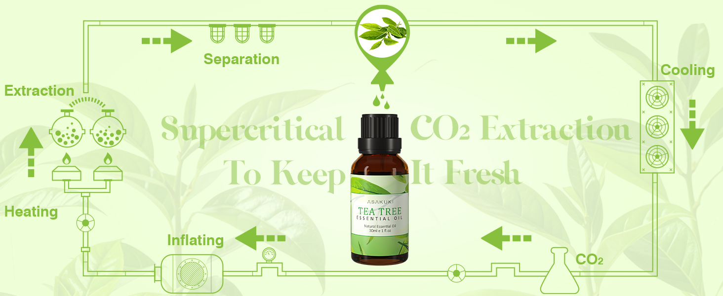 ASAKUKI Tea Tree Essential Oils 30ml, 100% Natural Therapeutic Grade, Aromathera banner 2