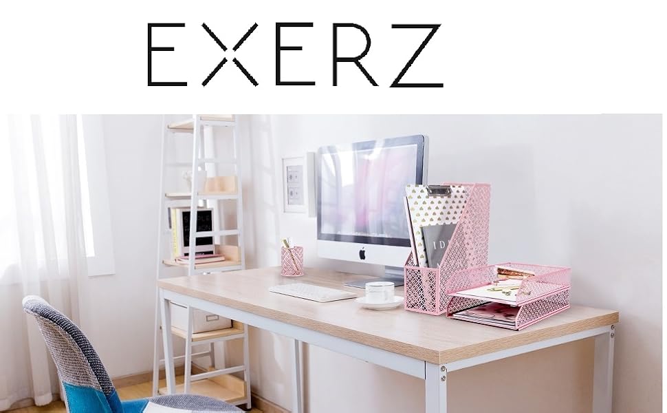 Exerz Desk Organiser/Mesh Desk Tidy Caddy/Pen Holder/Multifunctional Organiser W banner 1